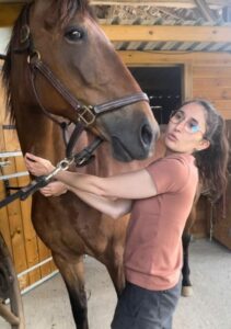 Masseuse cheval et chien