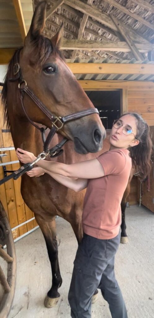 Masseuse cheval et chien